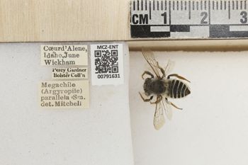 Media type: image;   Entomology 791631 Aspect: Labels
